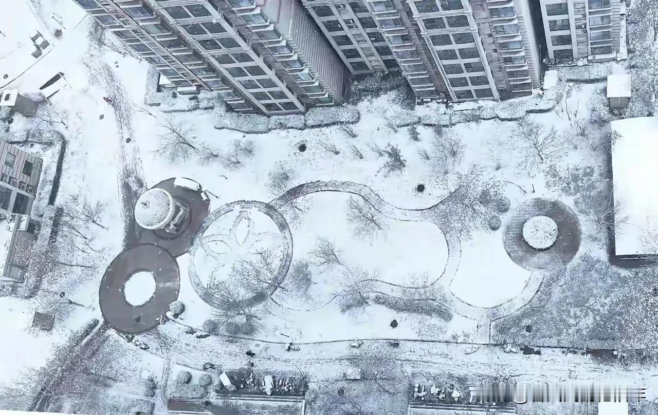 阳光懒洋洋地淌下来，落在雪地上，溅起细碎的银光。那光漫过屋檐的冰棱，漫过枝头的残