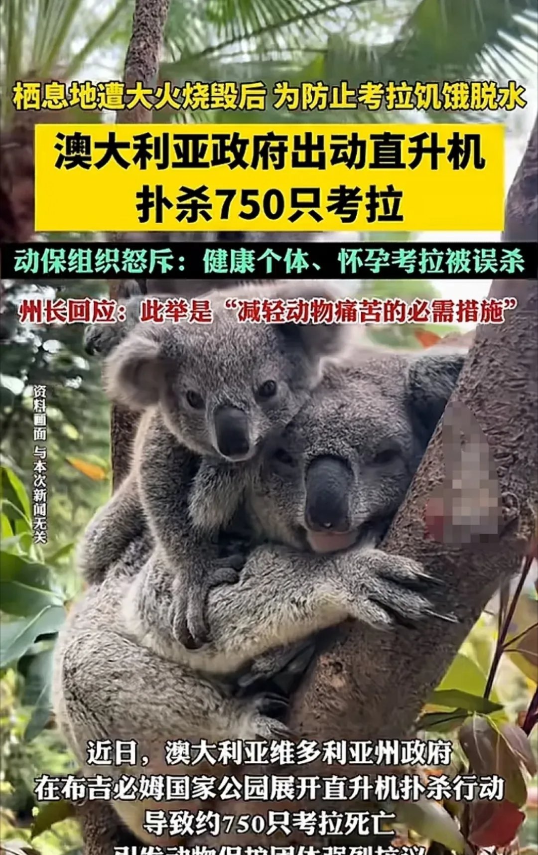 一定是我玩手机玩太多了，眼花了！这个世界终于是颠成了我梦里的模样，还有这么拯 救