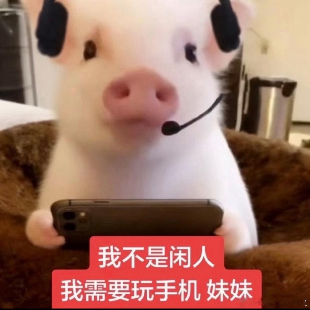 分享图片 ​​​