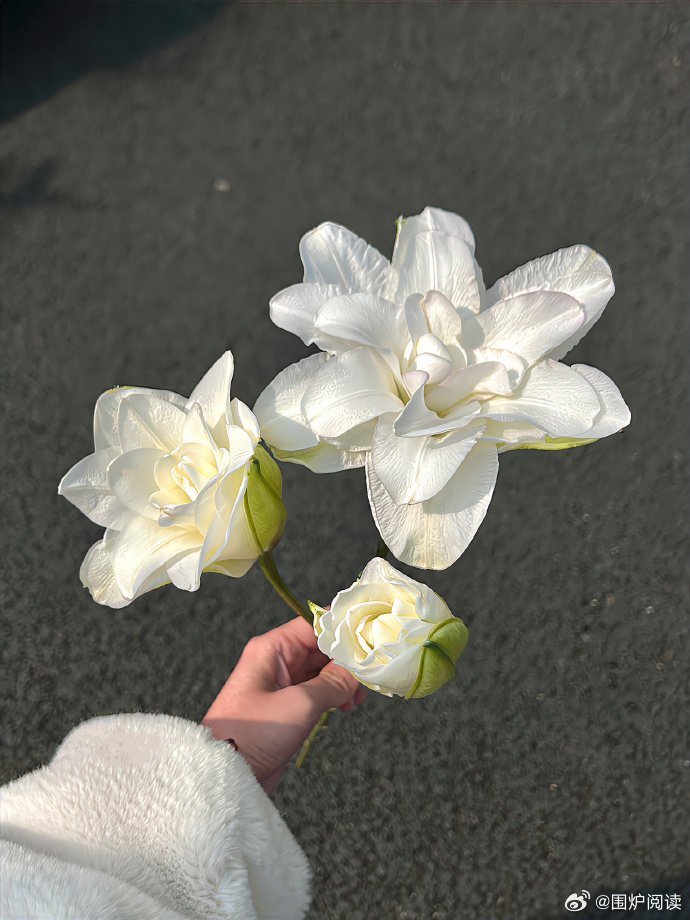 只有被好好爱过才会明白
