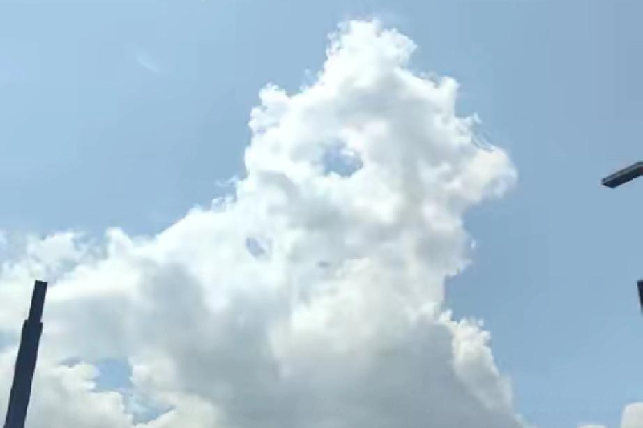 人性最大的恶!浙江杭州，一女子花16000在工地旁租了一块地卖盒饭，12元一个人