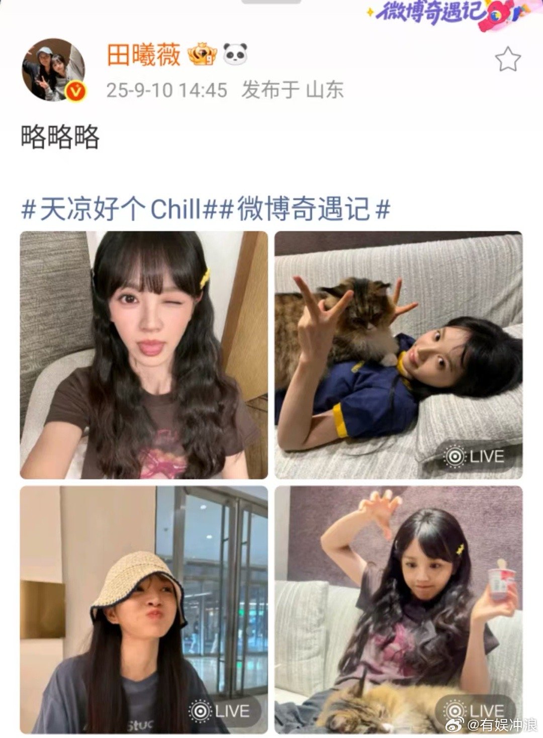 田曦薇略略略四宫格田曦薇猫猫略略略田曦薇略略略四宫格，好可爱，[赞][赞] ​​