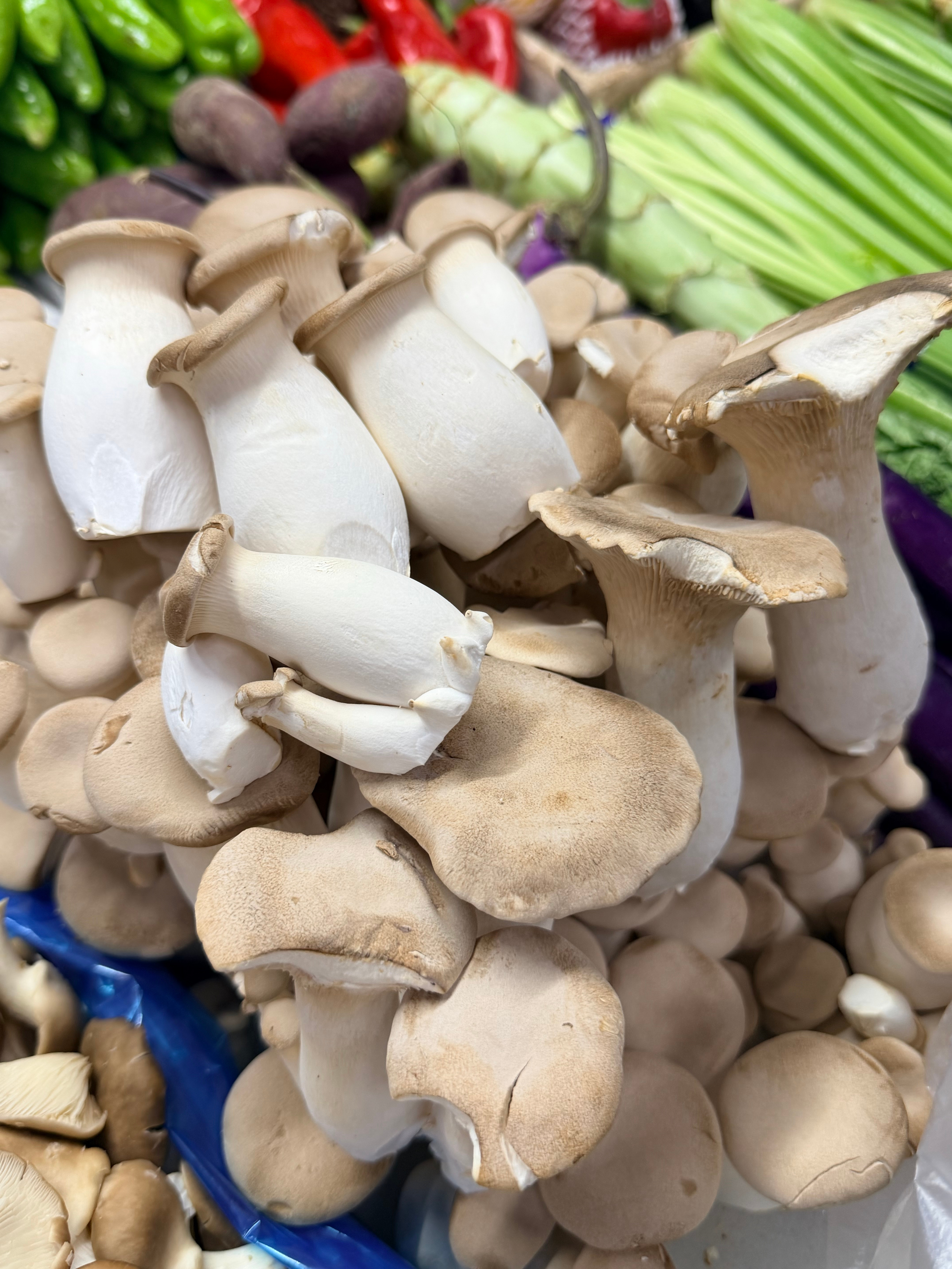 中午好呀，我赌你肯定不知道这是什么蘑菇