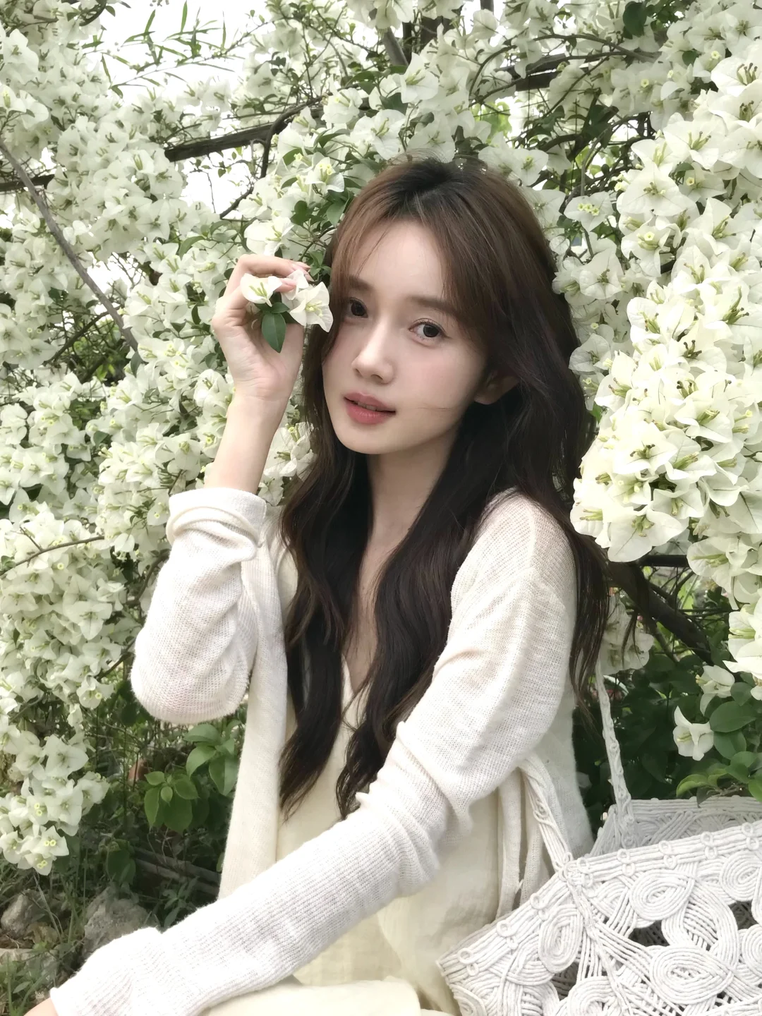 🤍杳杳春来时𓇬⸝⸝₊