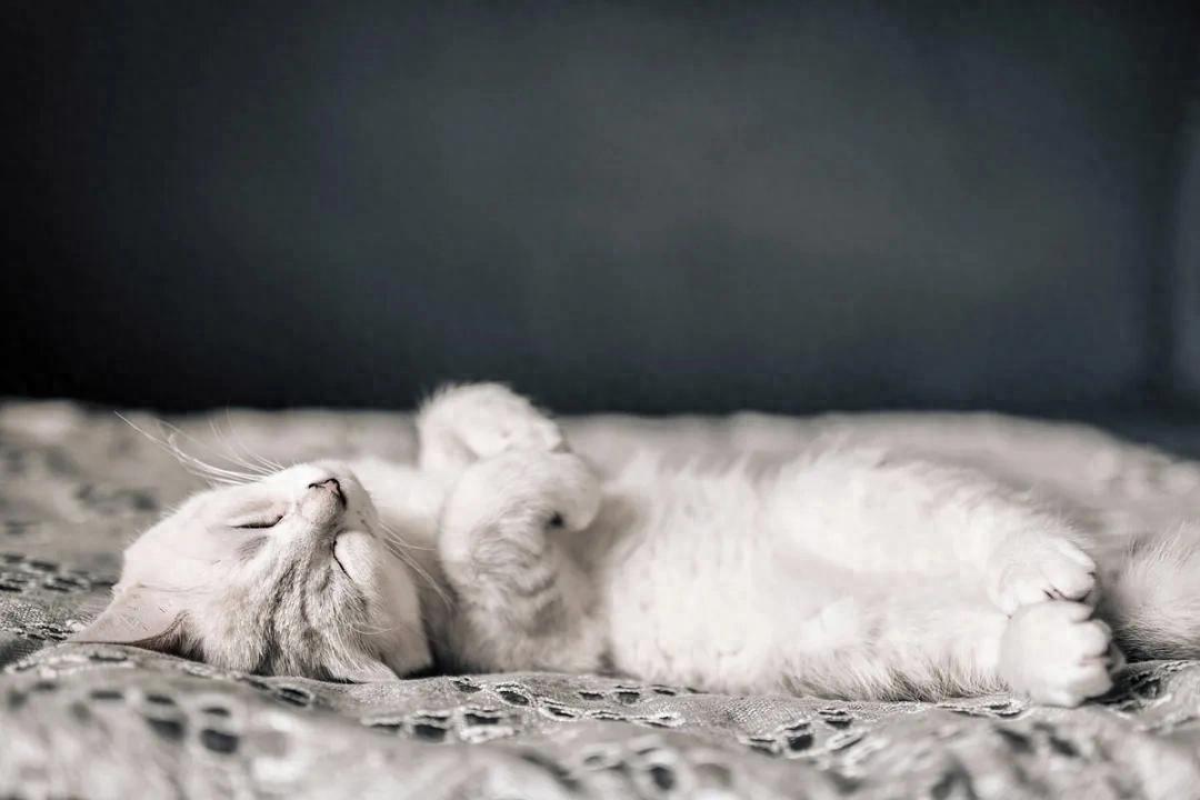 睡觉时身体突然“抖一下”？这3种情况，可能是疾病信号