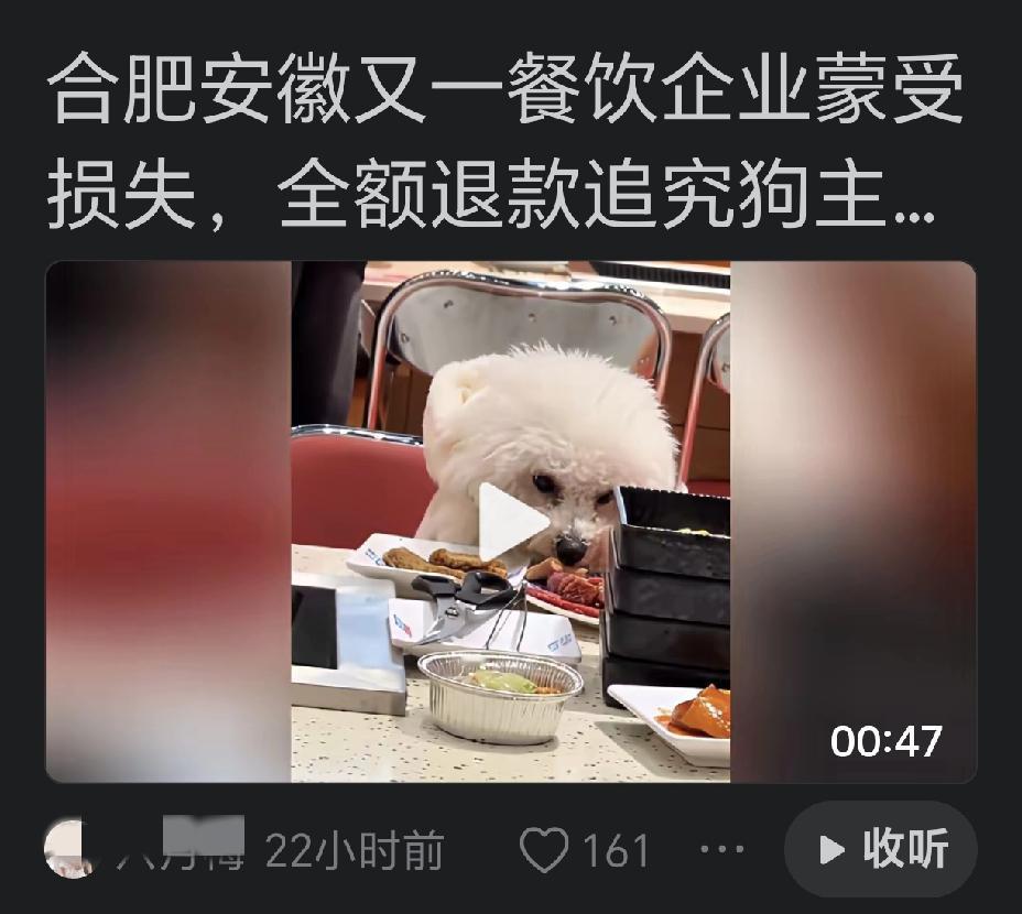 狗进饭馆的根源，离不开饭馆老板的无底线纵容。关于宠物狗进饭馆与人共餐这种违法行为