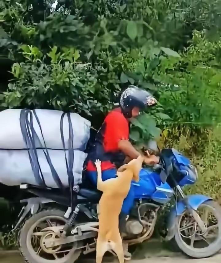 男子工期结束，已经收拾好铺盖准备回老家，就在准备要走的时候，他在工地喂养了三年的