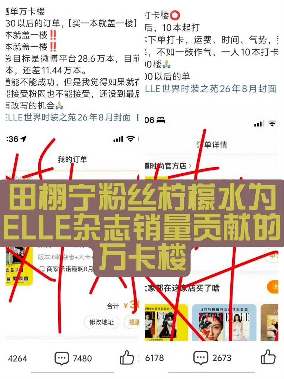 田栩宁elle销售额破3300万 | 田栩宁  | 智搜纠错特此对田栩宁《ELL