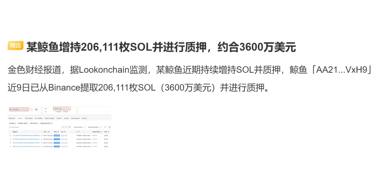 某鲸鱼增持206,111枚SOL并进行质押，约合3600万美元
