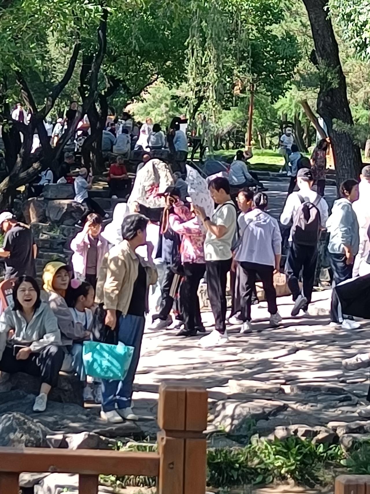 不一样的旅游方式有这不同的感受。端午节我家组织了一次全家出游，虽然孙子都八岁了，