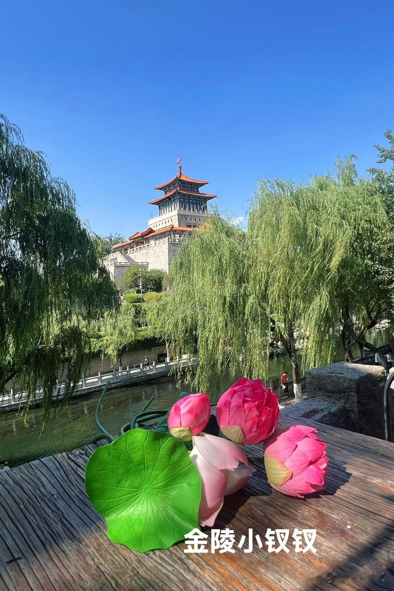 我又来夸大济南了！

好多朋友说：我是济南文旅的代言人，济南的旅游大使，只有我自