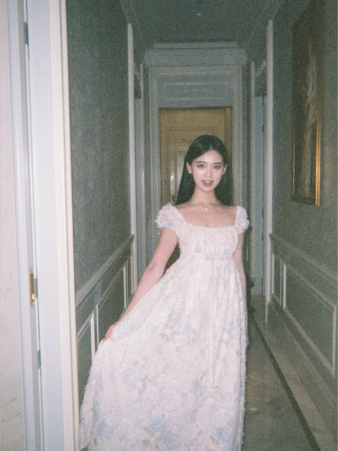 🕊️