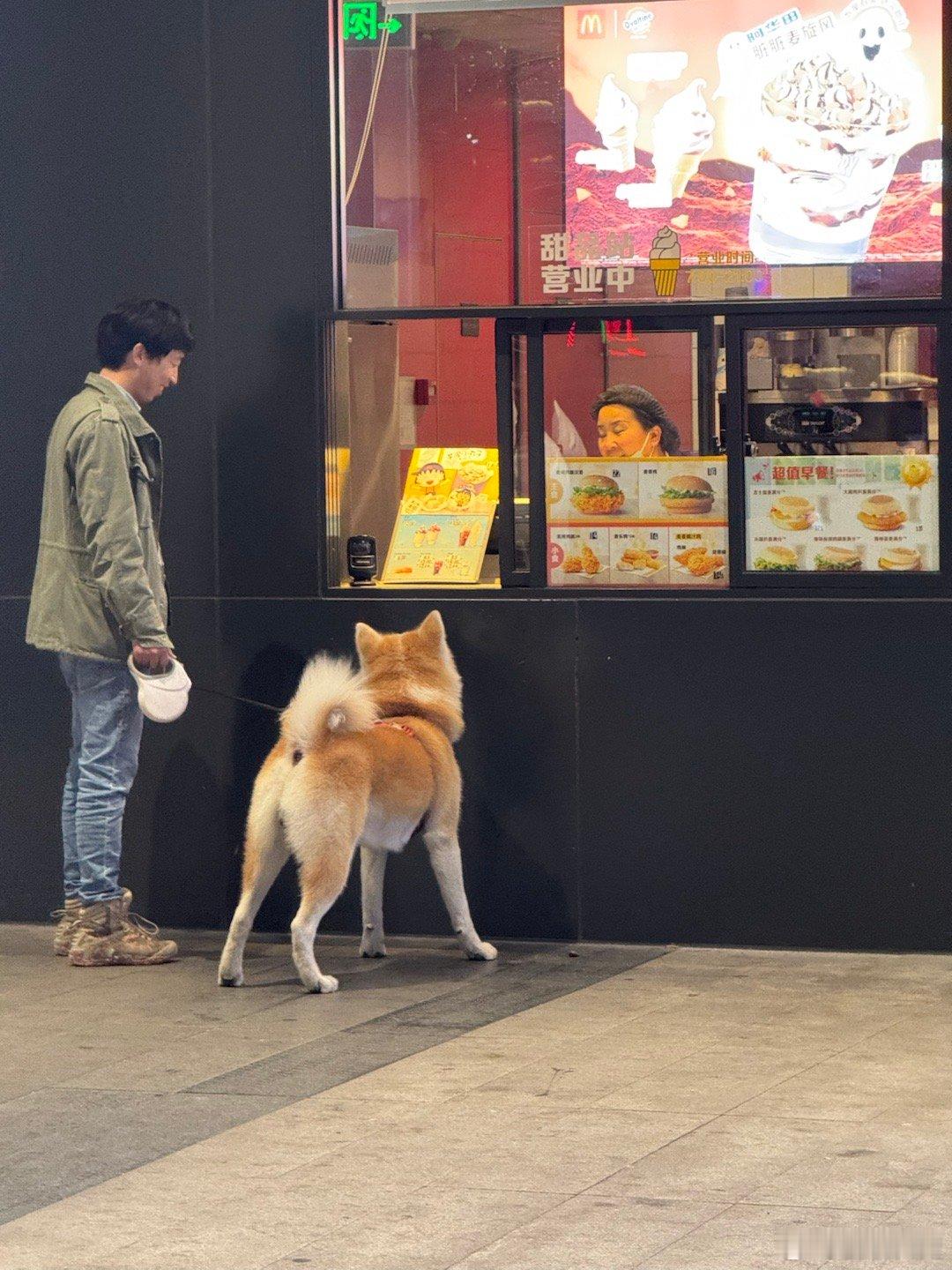 #城市巡游记# 贪吃的大狗🐶，拍之前爬在窗户上#狗狗# ​​​