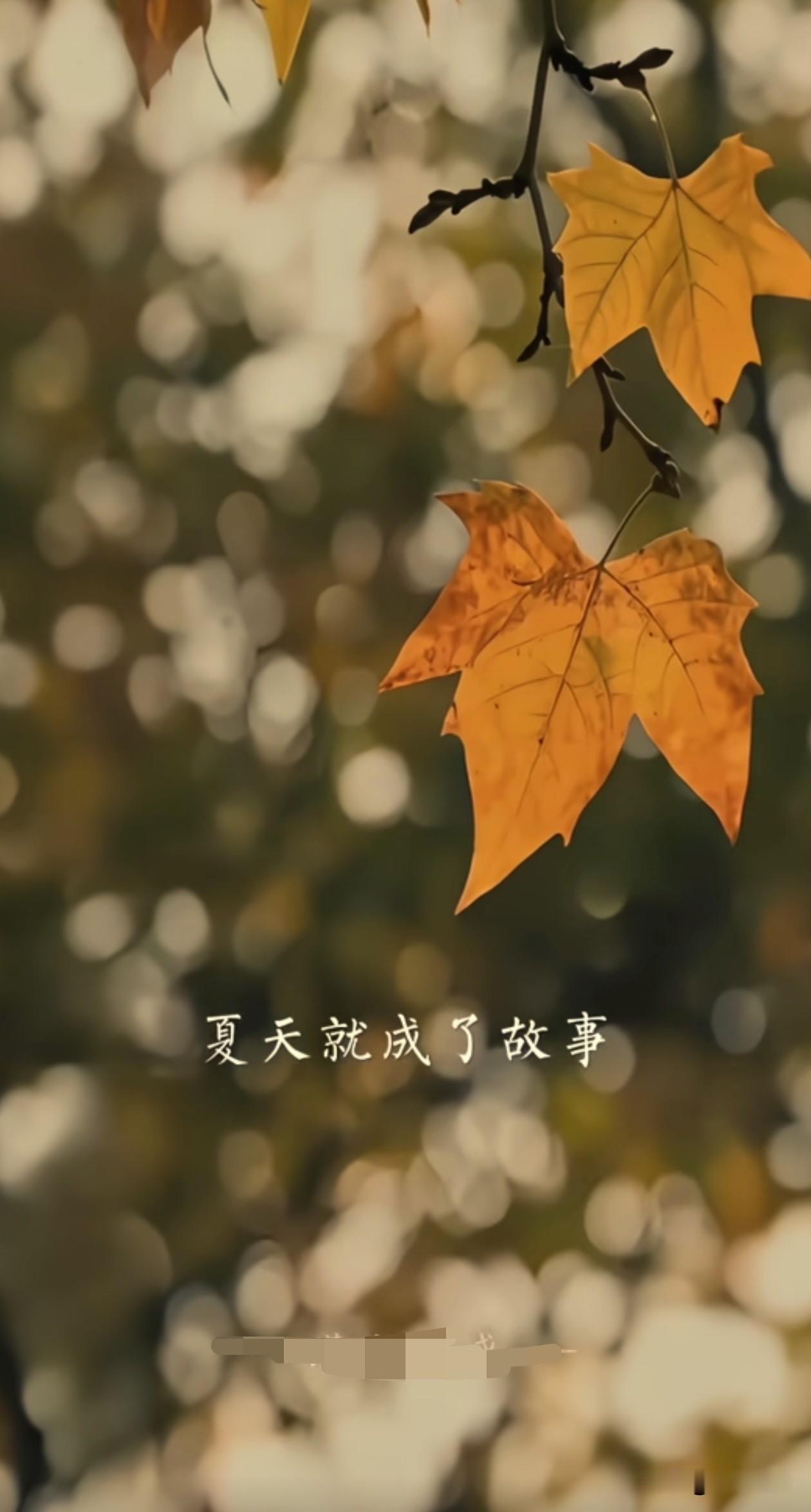 ╭───♫ ♬ ♪───────╮
❥   
 🌱夏已尽，秋将至，
     