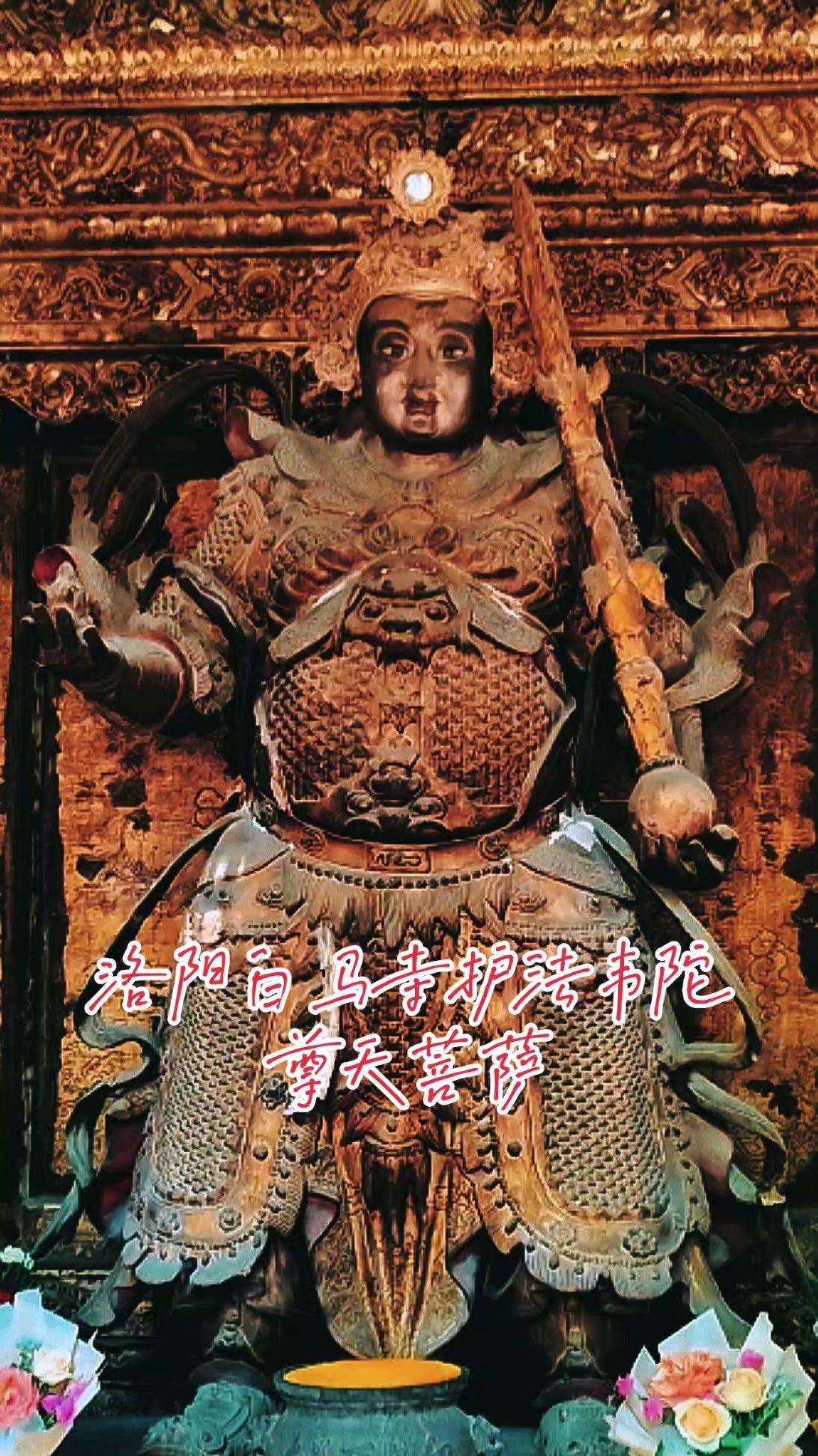 洛阳白马寺｜这尊菩萨，藏着古寺最温柔的暗号
来白马寺，别只盯着大佛看。 
天王殿