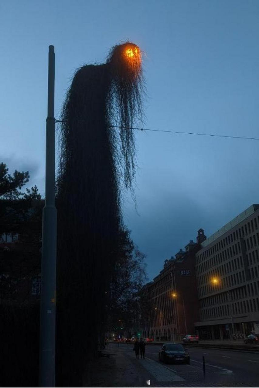 波兰弗罗茨瓦夫被藤蔓完全包裹的灯柱‌，近期因为画面太像恐怖游戏《寂静岭》而在网上