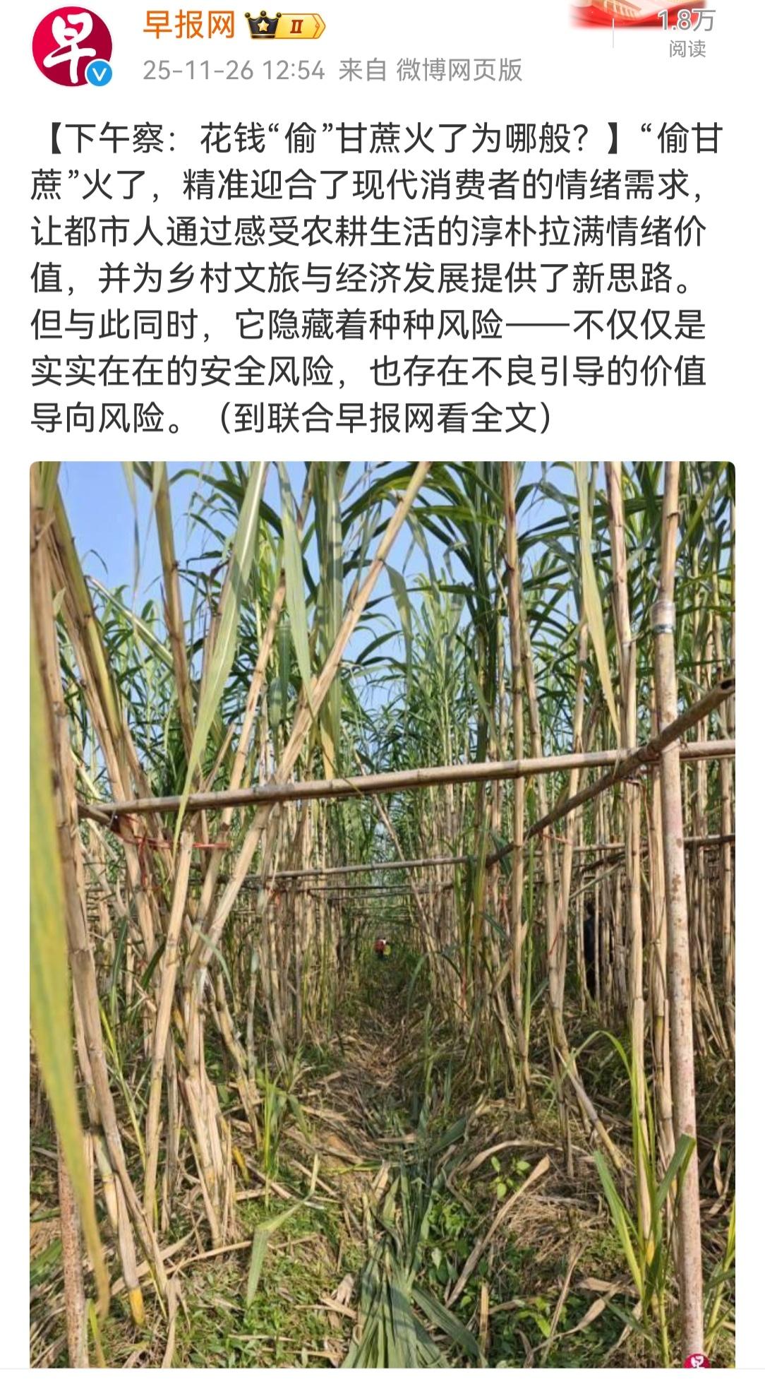 学好三年，学坏三天。什么不学，非要学偷甘蔗。今天学偷，明天学抢？可笑胡锡进还将其