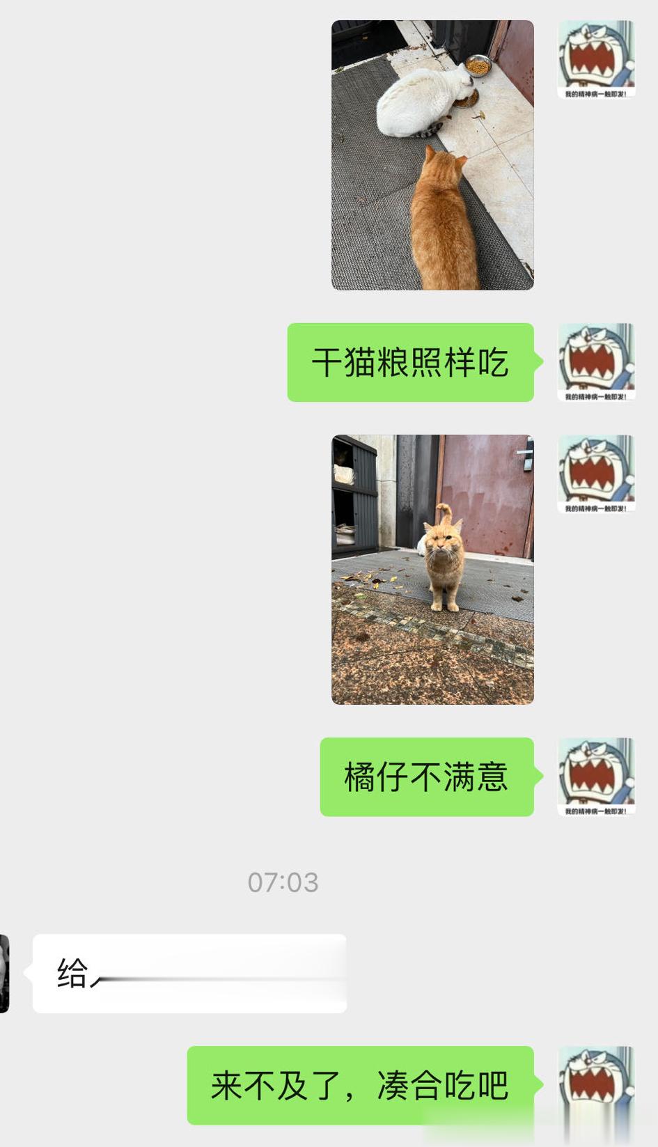 早早早！内男人浪去了，好消息是小猫都归我了[嘻嘻]坏消息是我做啥饭小猫吃啥饭[怒
