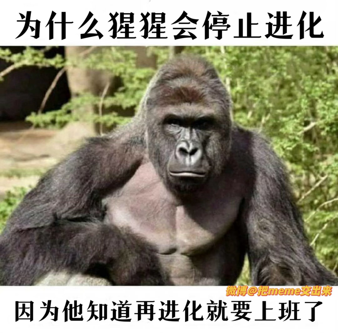 我说呢🤔今日memesfunny meme人工智能﻿ ​​​