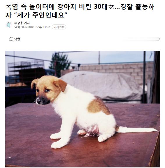 韩国30多岁女性高温酷暑遗弃宠物犬，警方立案调查6日据报道，韩国清州上党警署表示