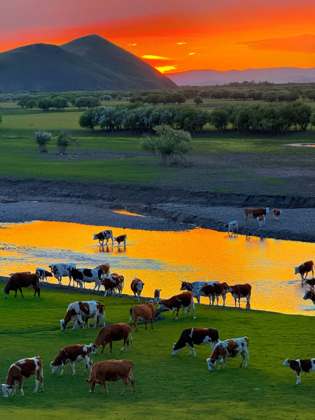 Live图的意义 | 呼伦贝尔第一天就美到失语