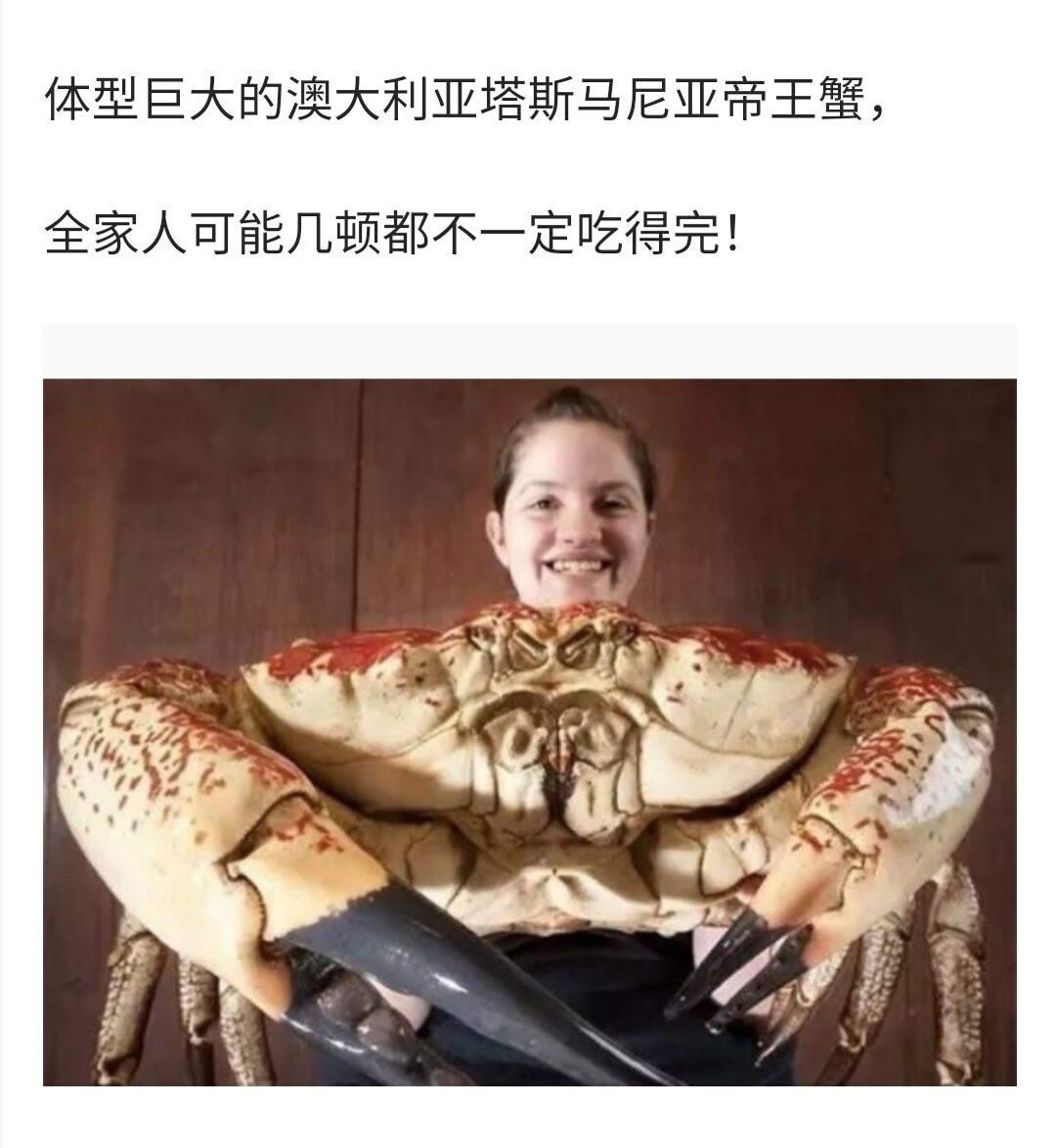 巨蟹帝王蟹的压迫感