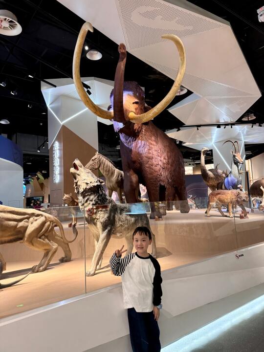 一年级小朋友周末如何安排