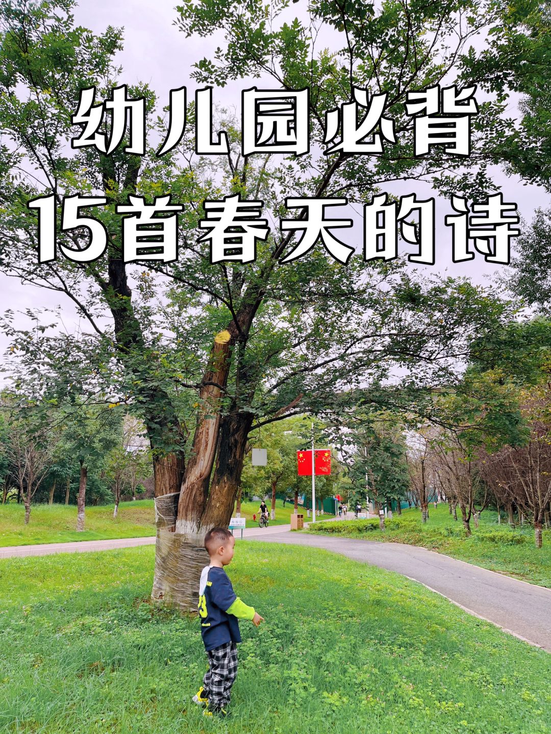 国学启蒙｜幼儿园必背15首春天的古诗🍃