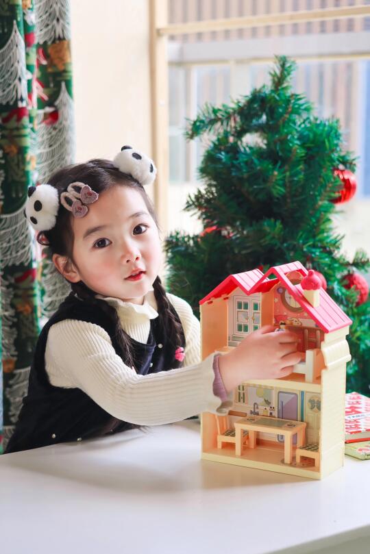 圣诞节礼物🎁！澳系过家家玩具！