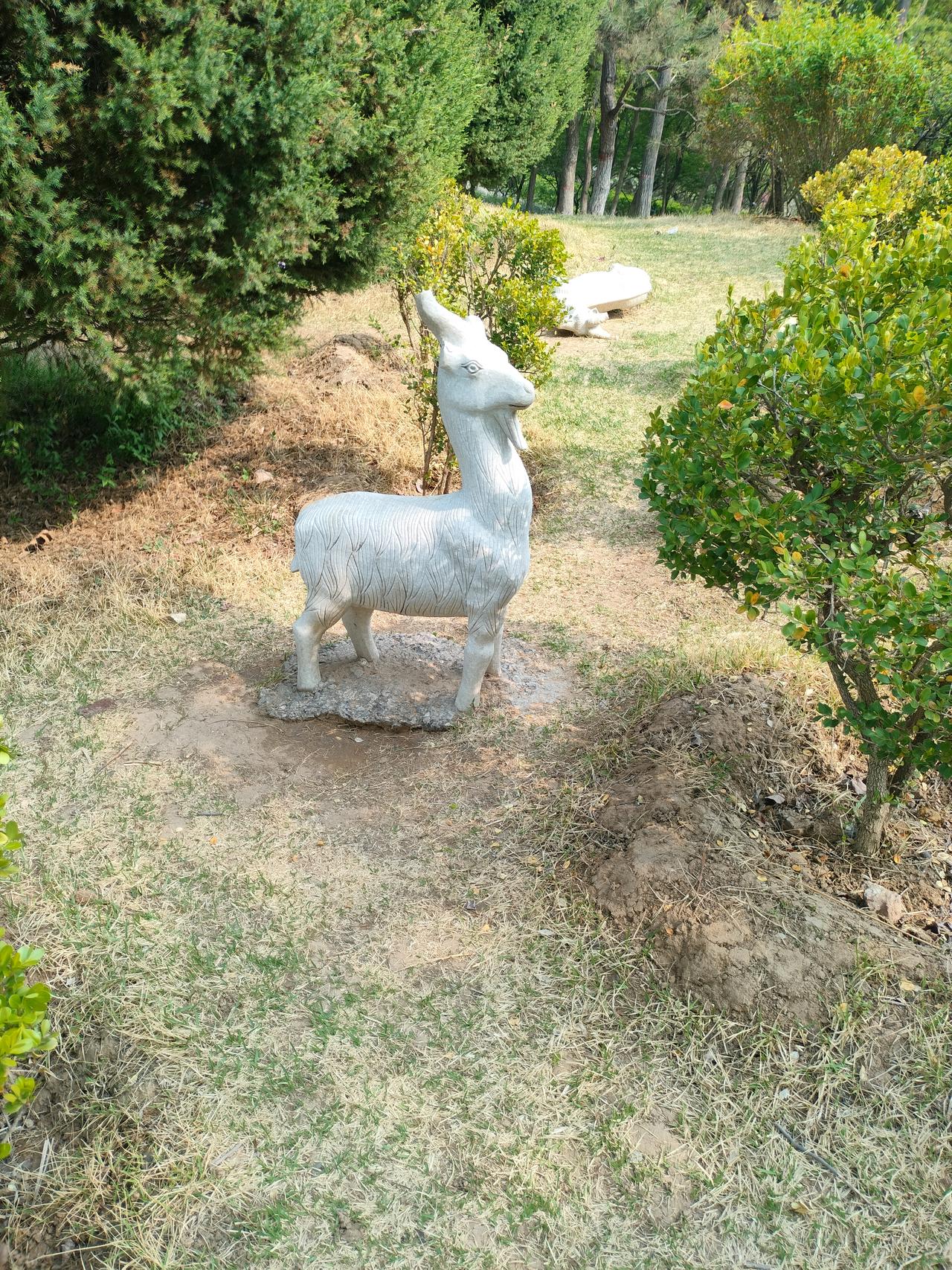 分享你今日的生活感悟不要把自己的命运，交给别人的良心。