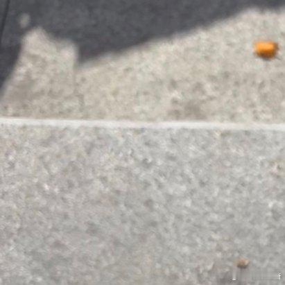 随手拍晒晒太阳！ 