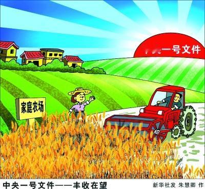 开篇重构：饭碗里的中国式雄心
很多人觉得“农业现代化”离自己很远，其实它就在你今