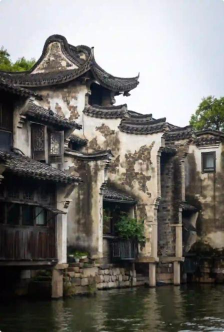 很有力量的一句话:“如果你没什么背景，没资源，没靠山，就往公平的地方走。只有越公