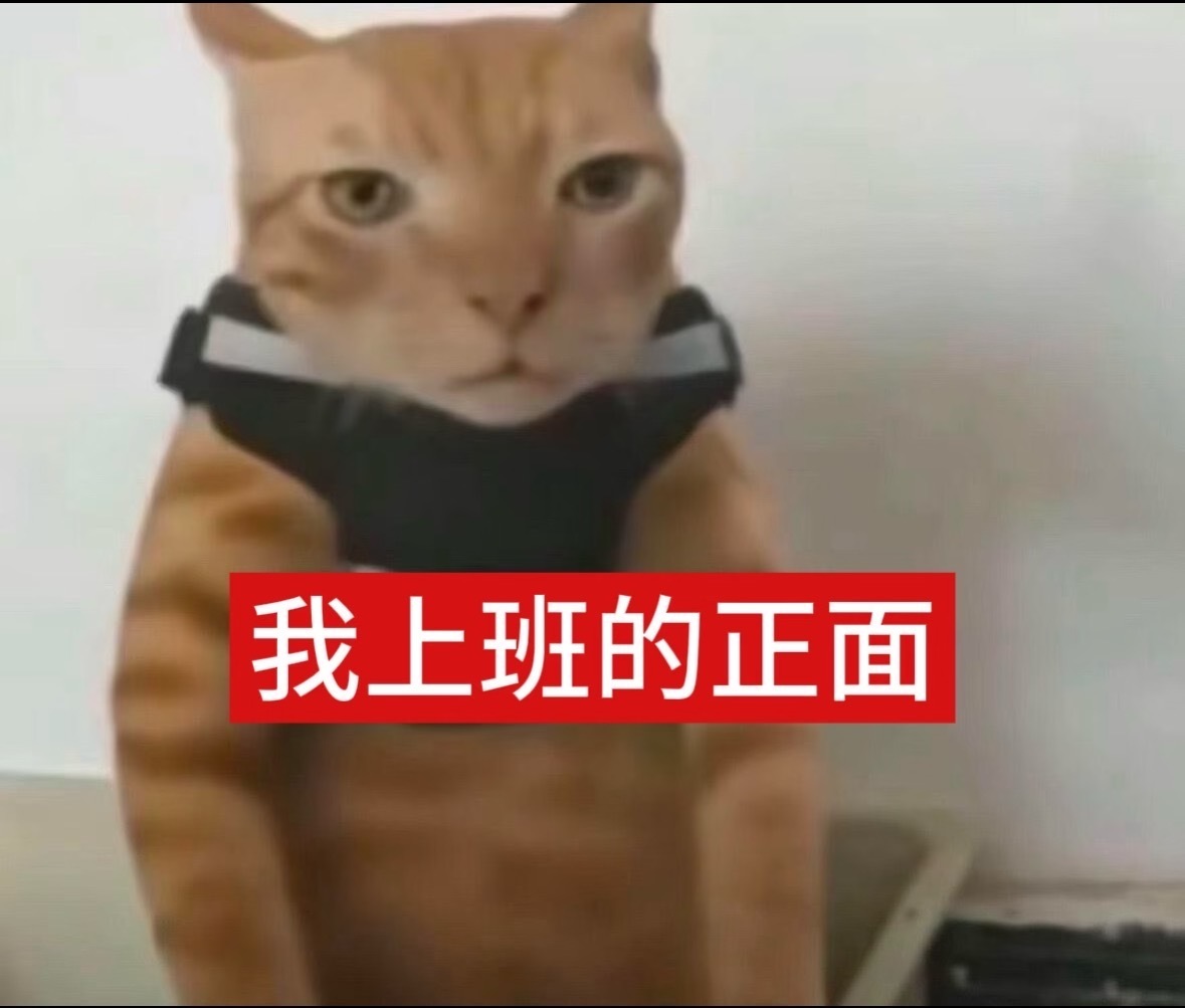 昨天刚骂过美国今天就美美吃麻辣烫看起了《青春碎片》，好繁华好好好看。 