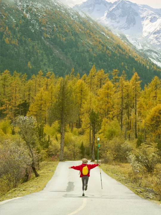 成都2h！秋天的毕棚沟美得像油画🍂