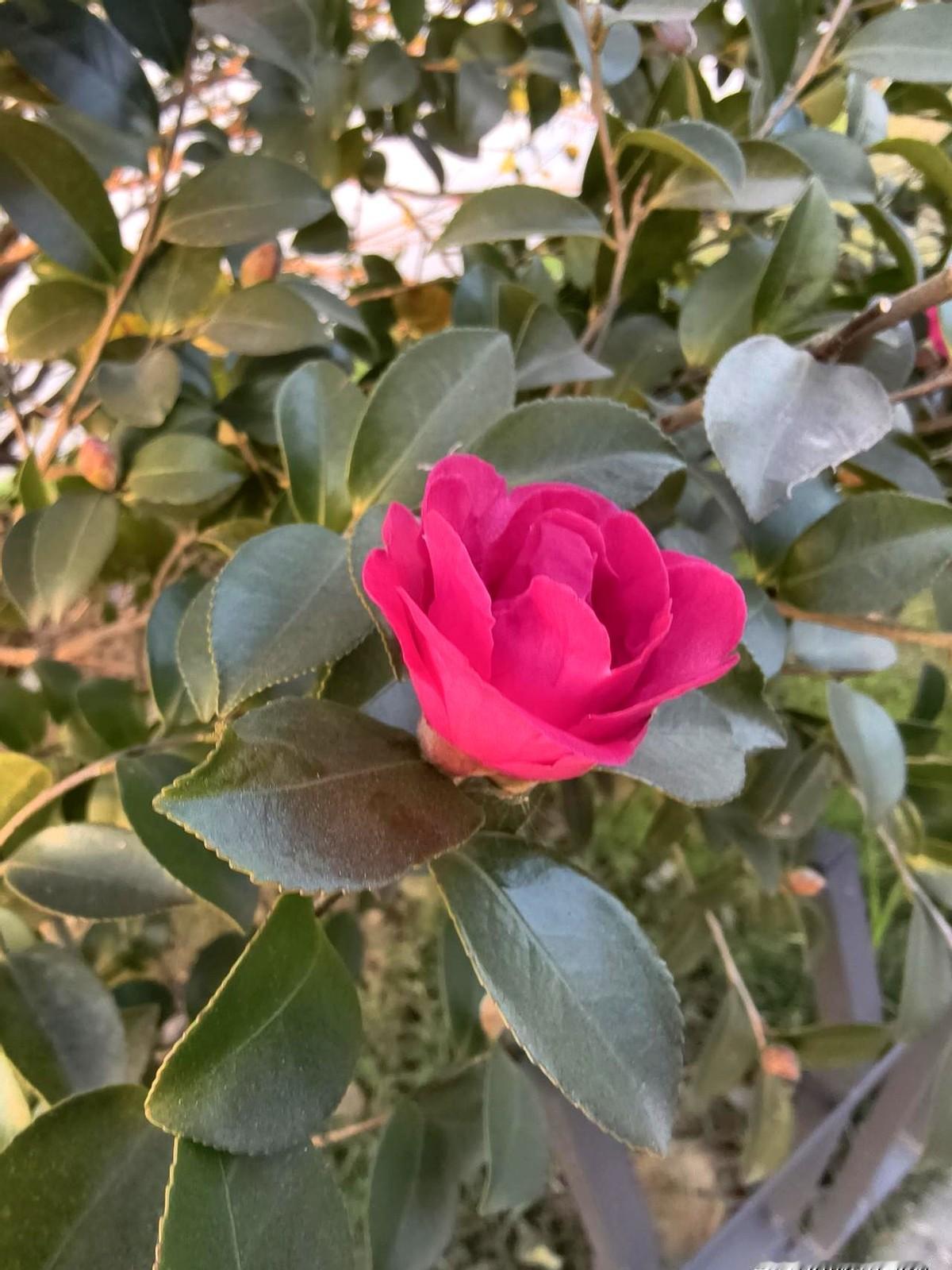 守着一车洋枪，结果还得靠女人来救。

戈壁滩上，月亮底下，古平原快要顶不住了。二