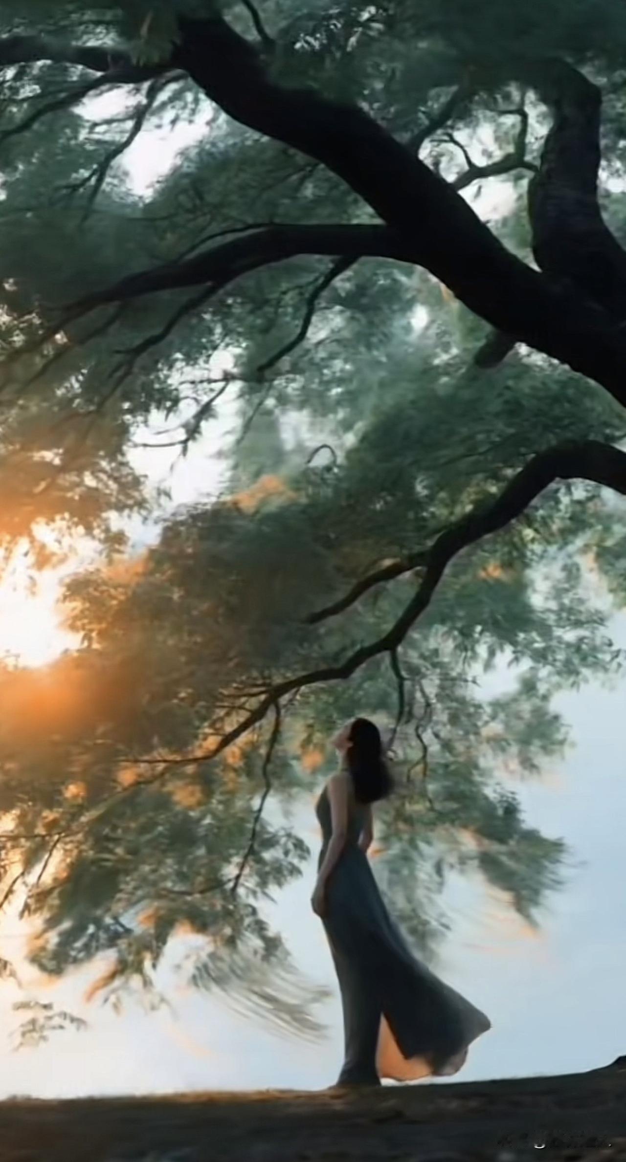 新思维：一个人不要愚蠢得不知好歹

我觉得“不知好歹”，是刻在人情世故里的一道警