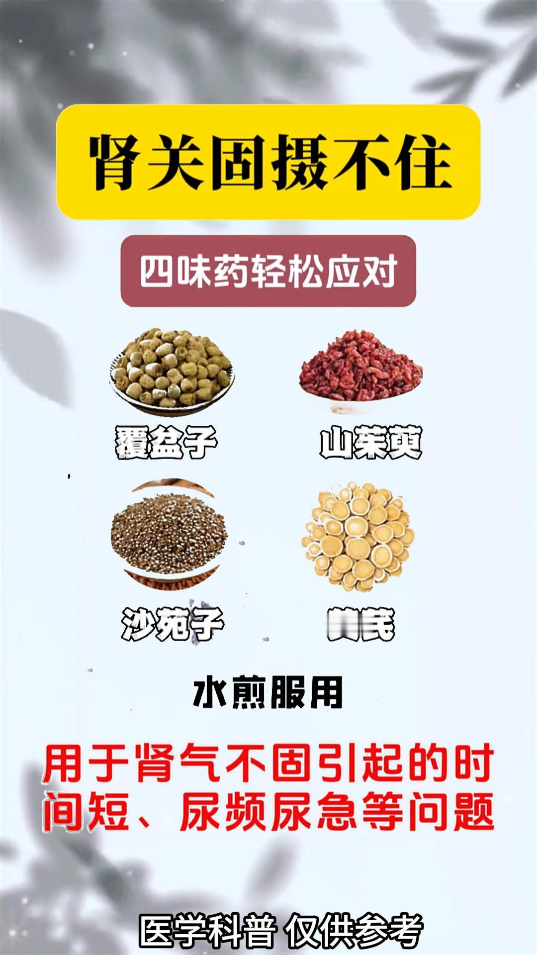 肾关固摄不住怎么办#中药##健康##中医#