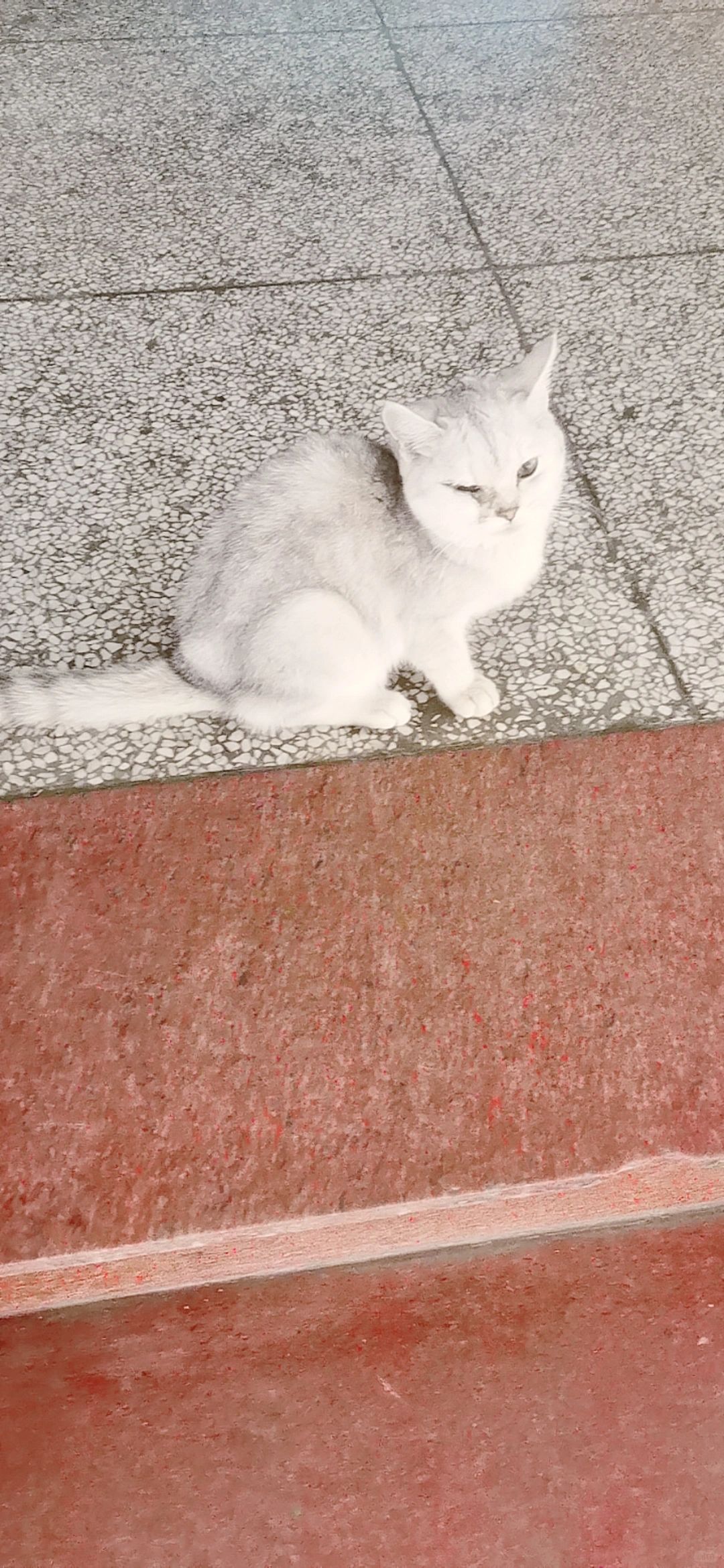 你上不了岸，也没人渡他