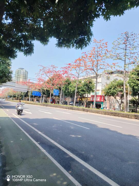路边随手拍，发现些新风景