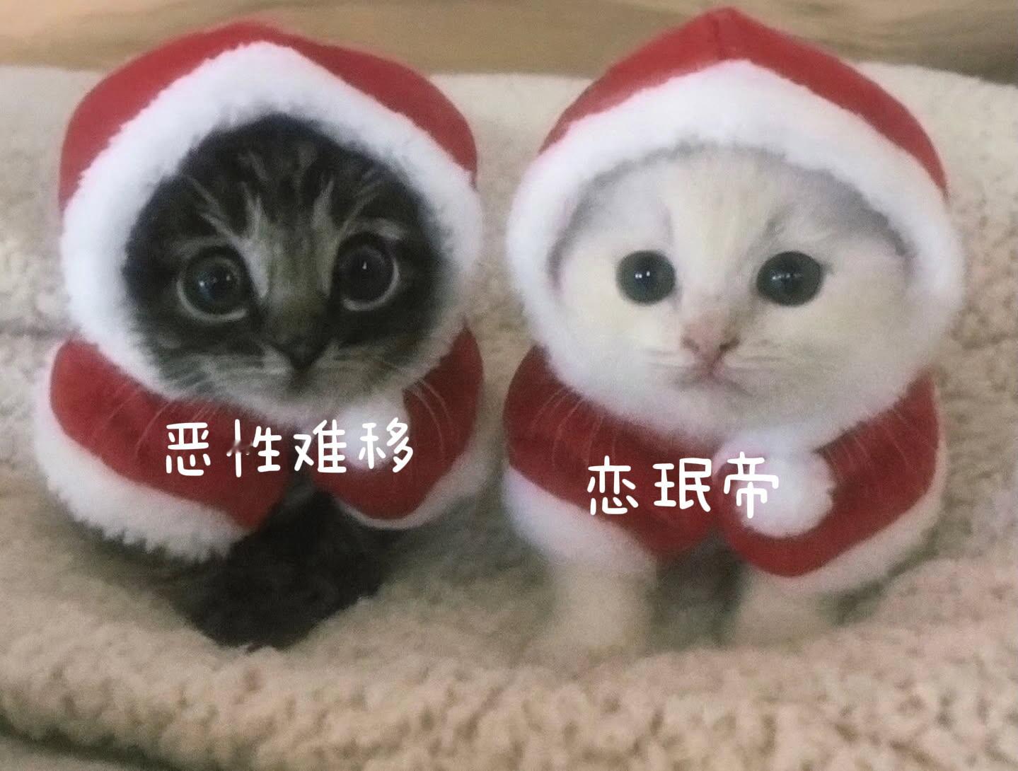 好想这么懵逼的活一次 