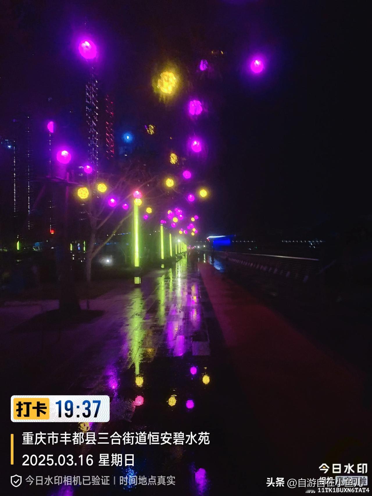 《雨夜灯径》

夜幕如墨笼长径，彩灯似梦绽幽情。
紫黄光影空中舞，明灭流辉水里盈