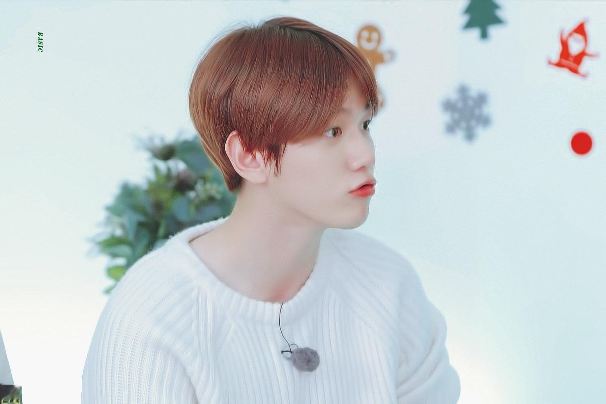 小狗和小狼 