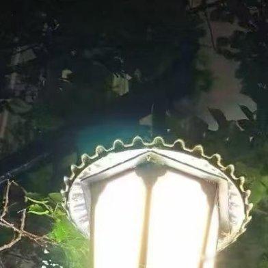 从前步履匆匆，总是低头赶路。今天停下脚步才留意到，小区的路灯光线柔和，不会晃眼，
