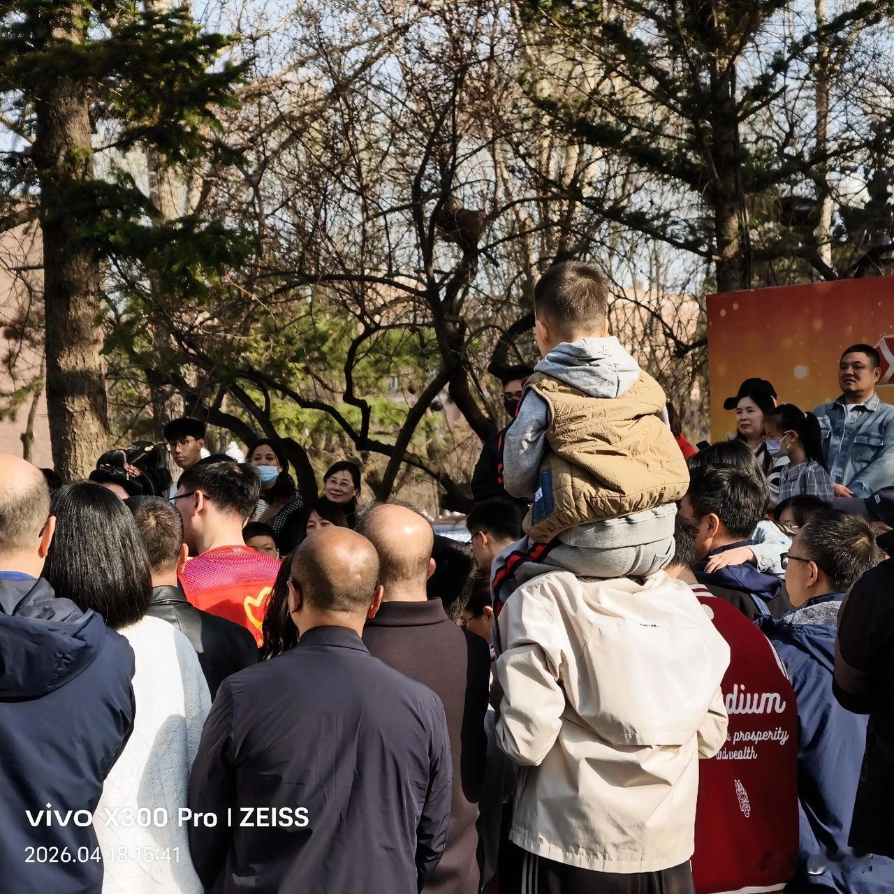 【原创\图文】
一城国风，满目繁华。

春城四月，漫步在长春新民大街，品家乡美食