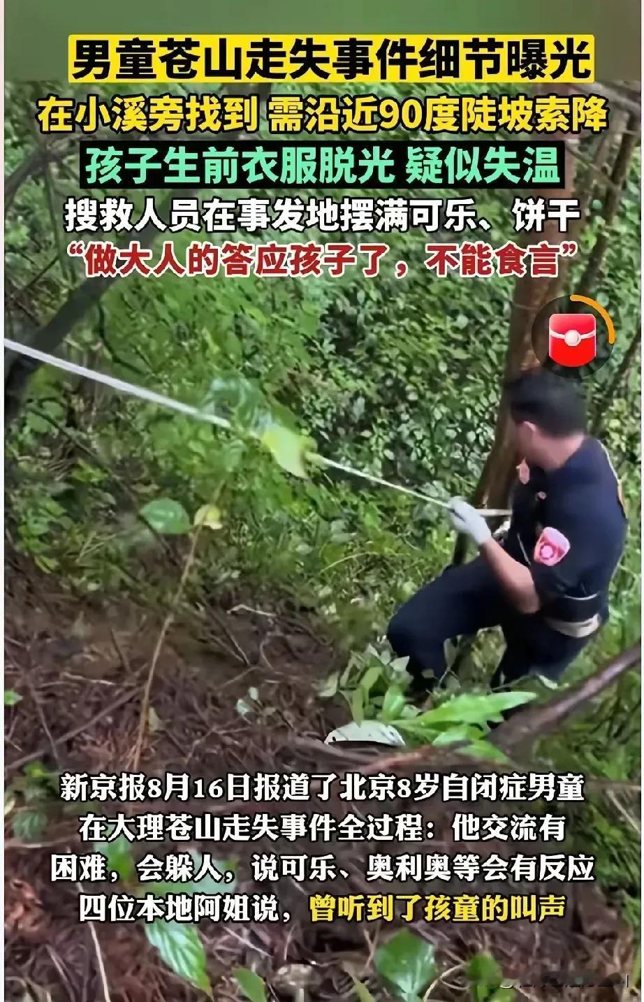 一切都是冥冥中注定的，大理苍山走丢的8岁儿童，救援队最近时距离孩子不超过200米