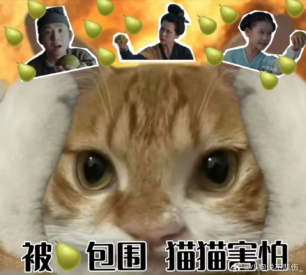 不怕鬼压床就怕梨打墙看到无忧渡这段剧情真的绝了啊，要这么好玩的嘞，真的给我笑到了