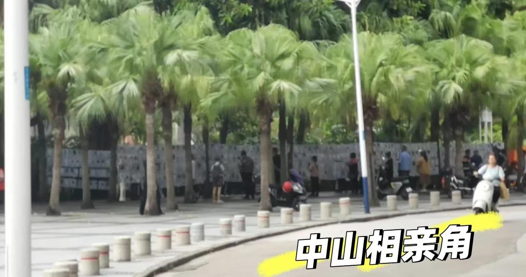 中山相亲角——喜来登对面
之前发帖的相亲角很多人有兴趣
今天再去岐江公园发现更多