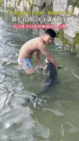 清水江惊现88斤大青鱼
路人花钱买下放生
一句叮嘱看哭众人

贵州锦屏清水江上，