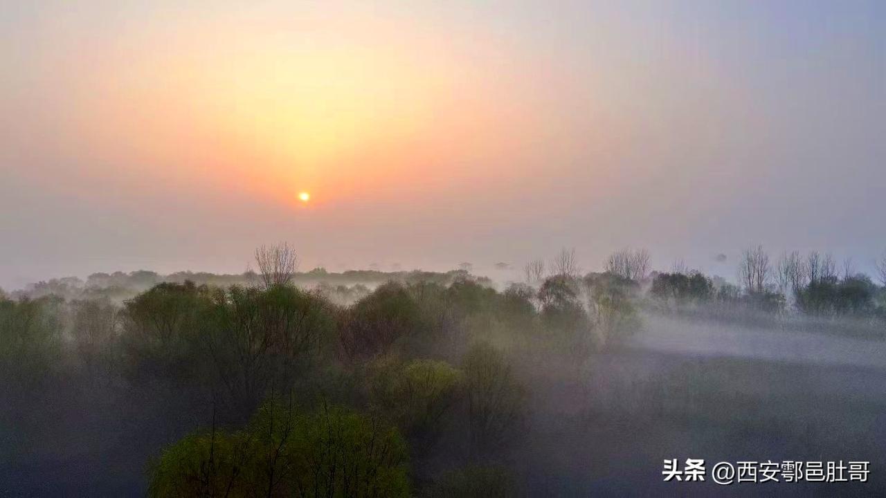 最近听闻西安灞河与渭河交汇处的晨起日出美若人间仙境，我也按捺不住前去打卡。
清晨